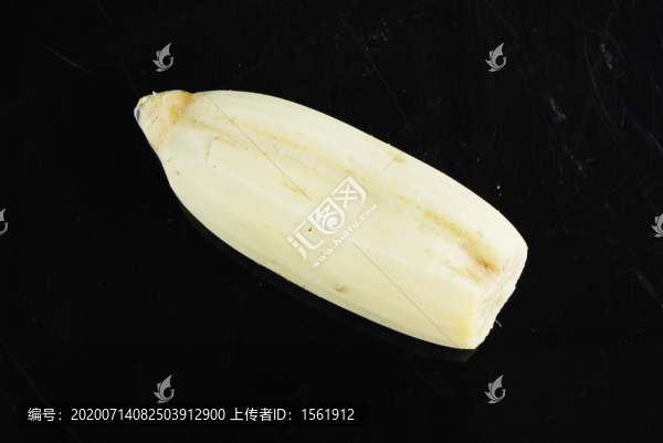 蓮菜