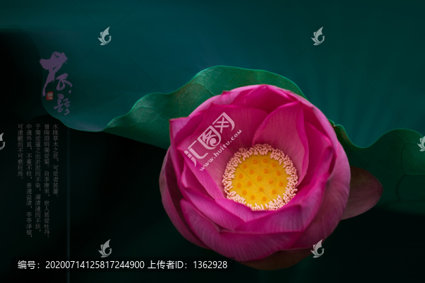 荷語
