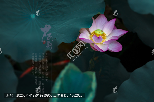 荷語