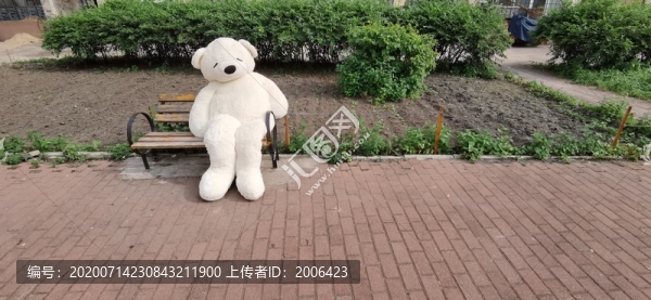 孤單的白熊