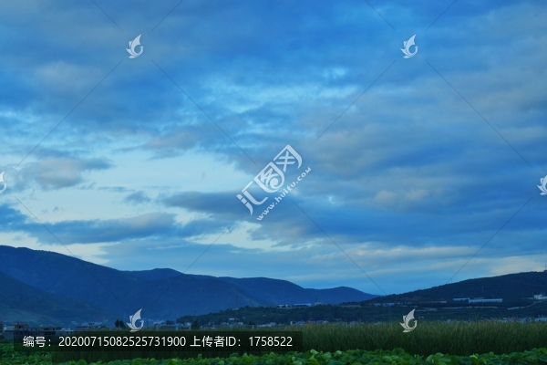 田園田野