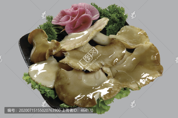 鮑魚菇