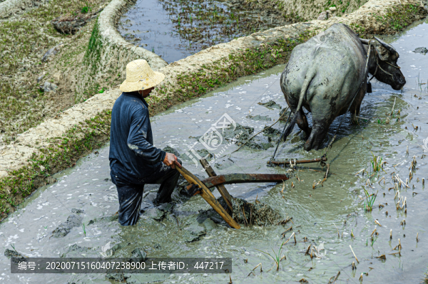 耕田