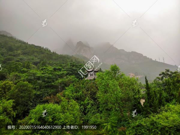 青山