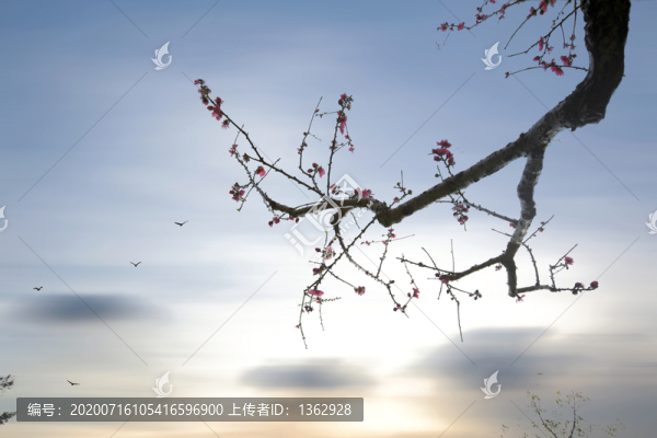 桃源仙境