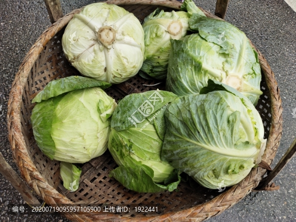 賣包菜