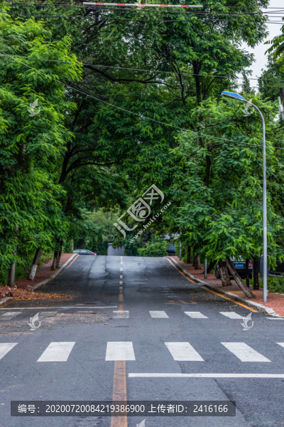 綠茵道路