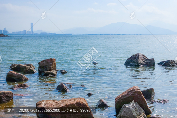 深圳灣