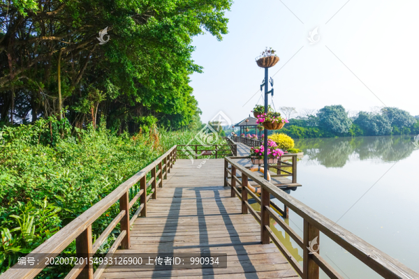 木棧道