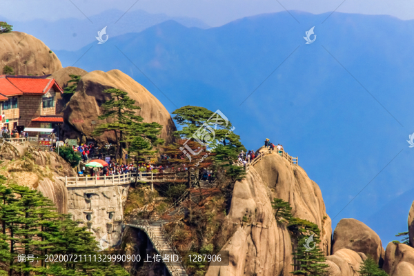迎客松遠(yuǎn)景