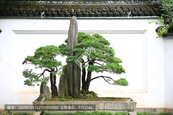 園林景觀