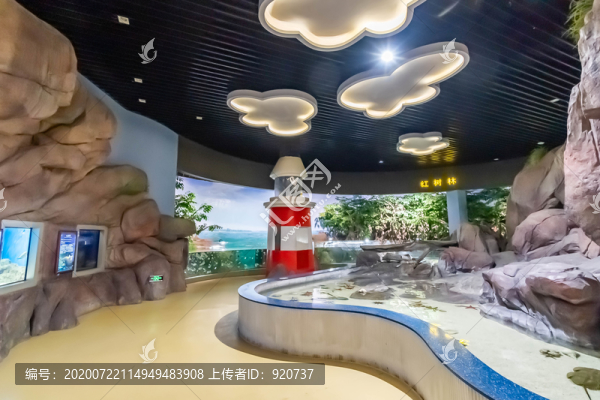 海洋館造景