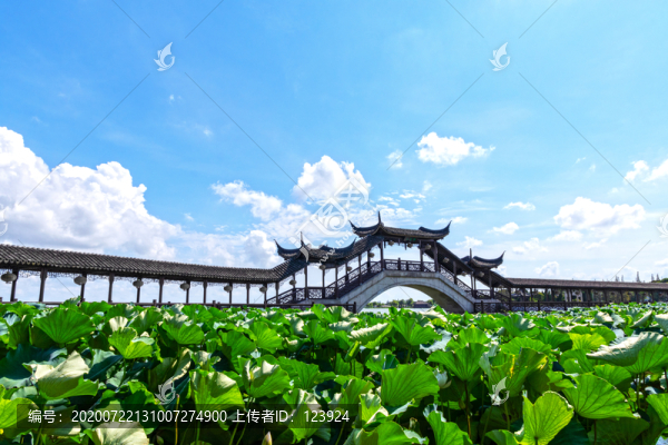 古蓮橋