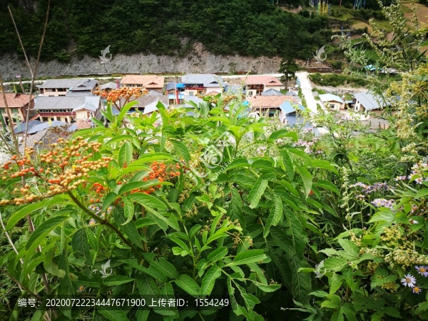 九寨溝