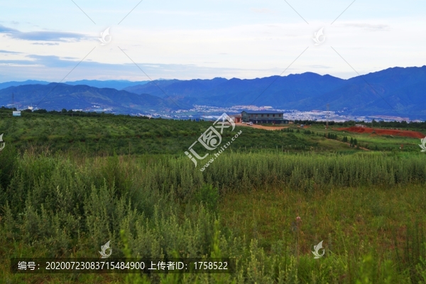 云南雪桃基地