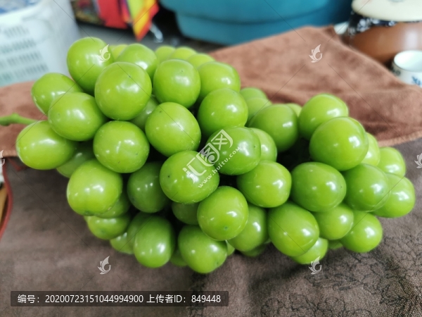 陽(yáng)光玫瑰葡萄