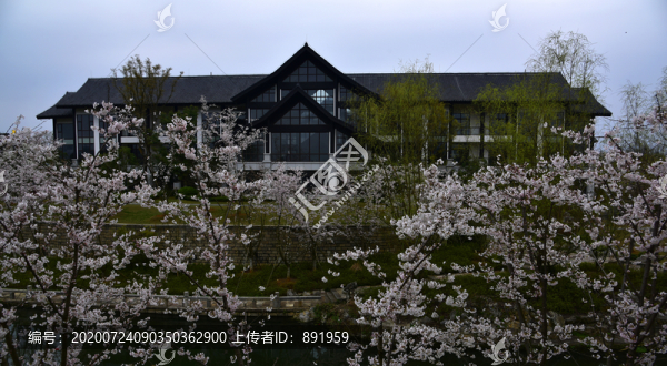 貴州甕安草塘春曉