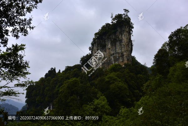 貴州油杉河仙宇峰
