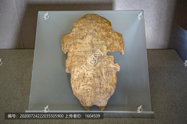 甲骨片