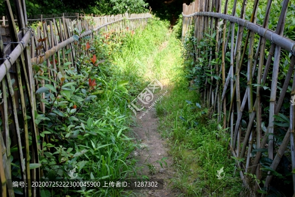 田園柵欄