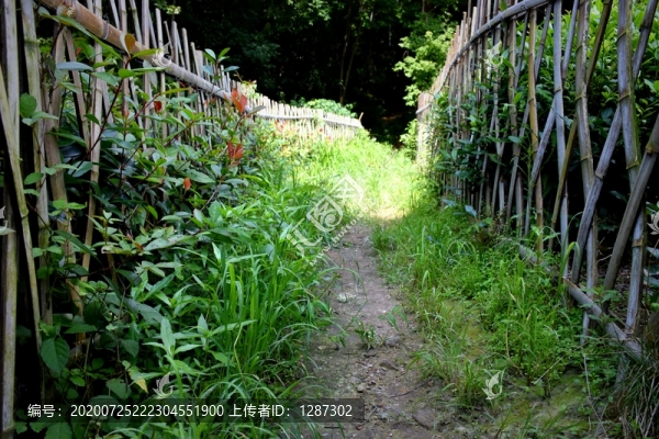 田園柵欄