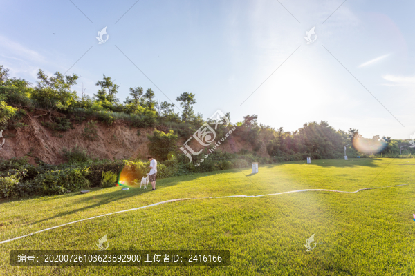 綠草地