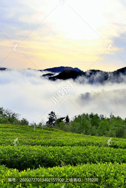龍王埡風(fēng)光68