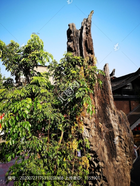 烏木