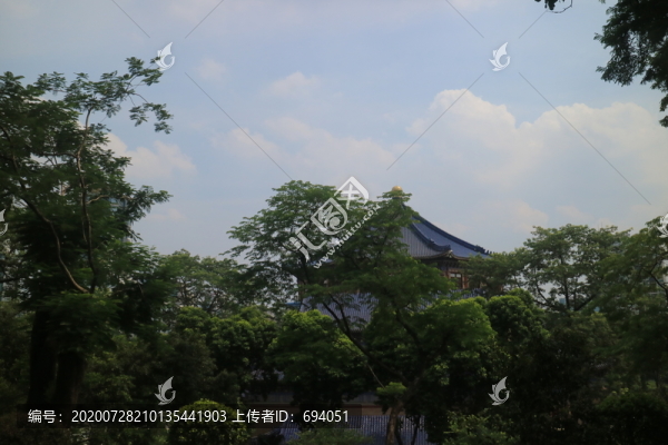 清樹(shù)遠(yuǎn)景