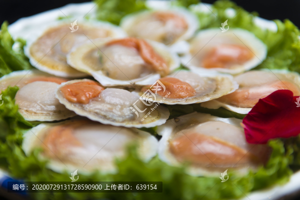 火鍋菜品扇貝