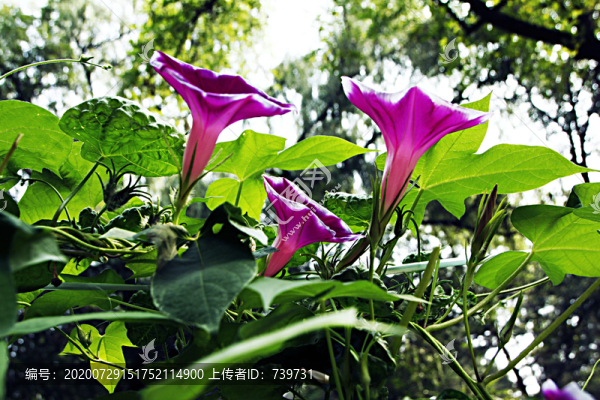 承德避暑山莊