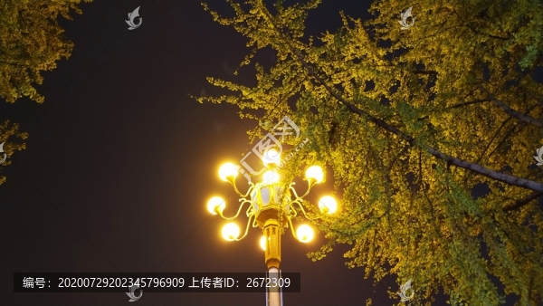 夜路燈