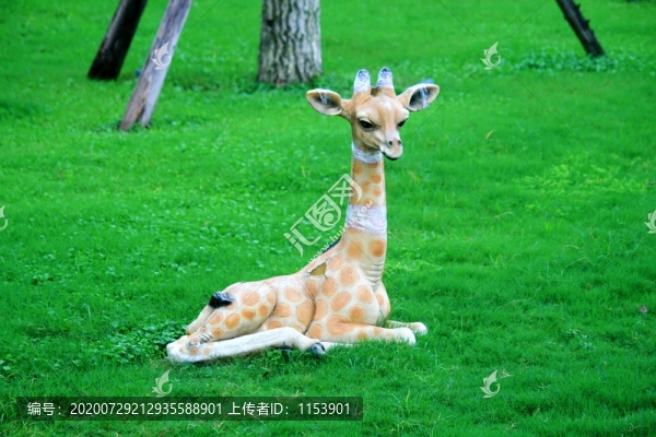 梅花鹿