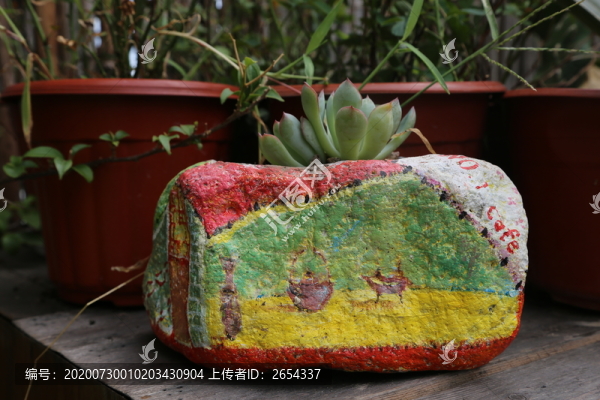 自制盆栽