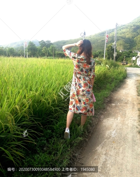 稻田邊的美女