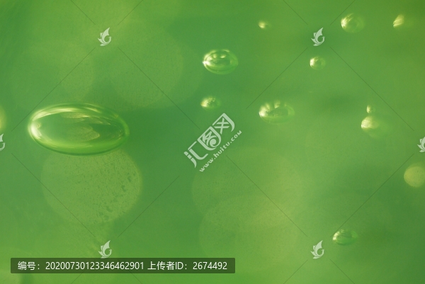 蘆薈膠