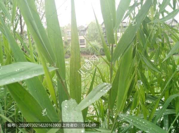 北京王四營(yíng)CBD