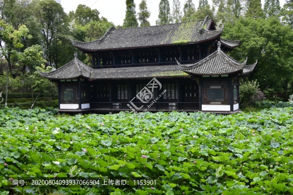 湖心樓
