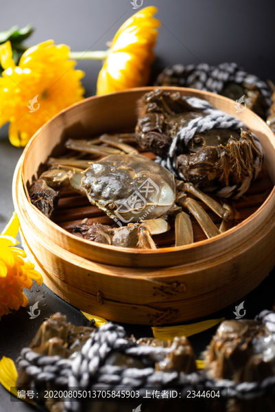 陽澄湖大閘蟹