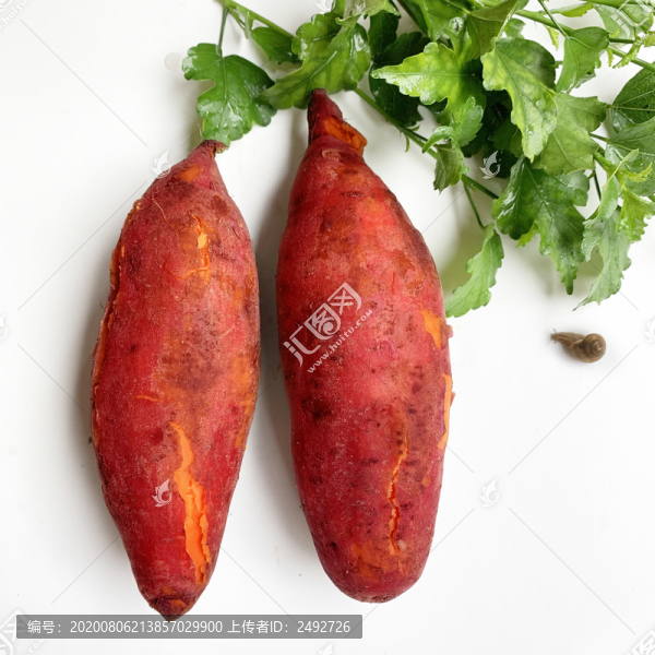 農(nóng)家板栗紅薯