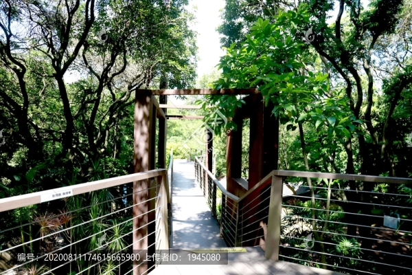 公園棧道