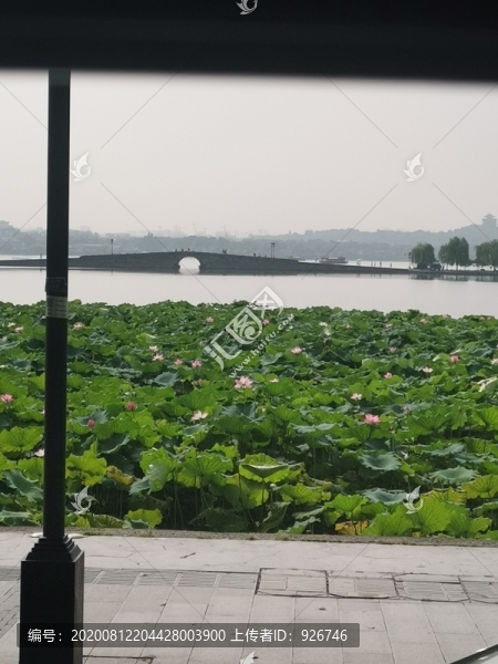 西湖斷橋