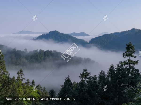 高山云霧