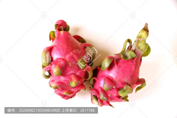 火龍果