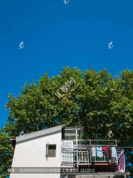夏日陽光下的白房子