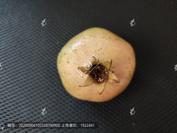 石榴特寫