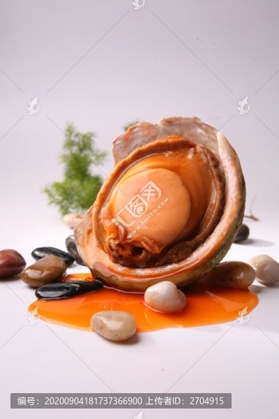 鮑汁扣澳洲鮮鮑