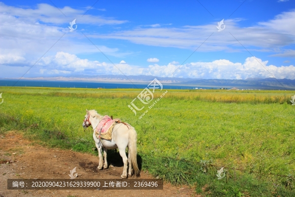 青海湖