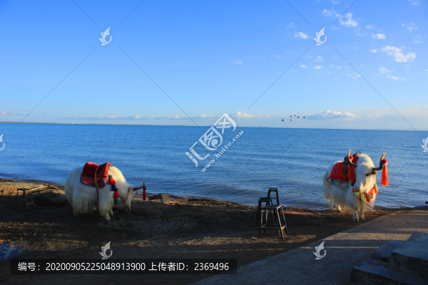 青海湖