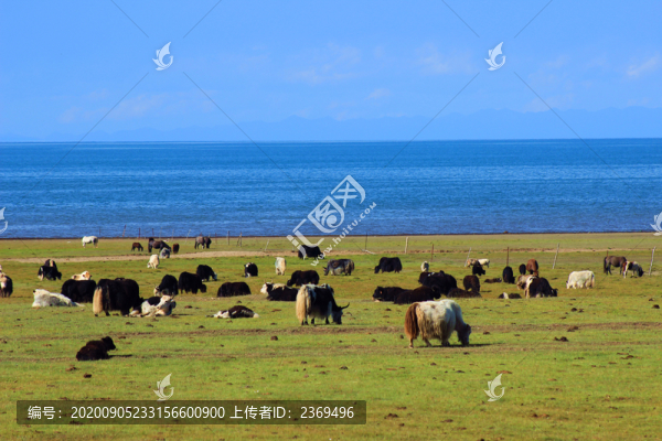青海湖
